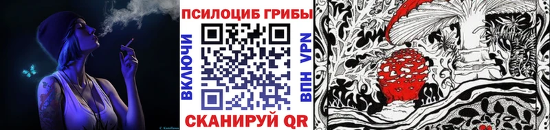 Галлюциногенные грибы Magic Shrooms  Купить закладки  Буинск 